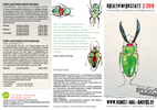 flyer_malschule_2-2019.pdf
