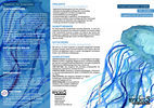 flyer_malschule_1-2020_web.pdf