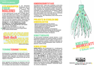 2014-Flyer_2Halbjahr.pdf